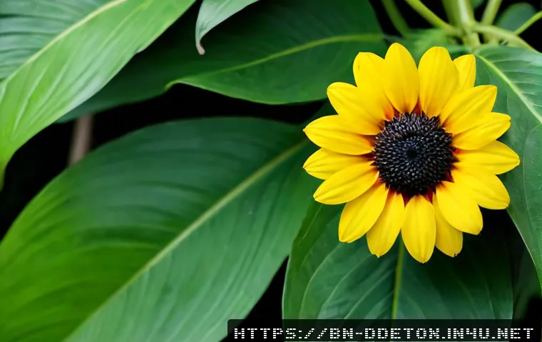 ব্যস্ত জীবনে স্বাস্থ্যকর ডিজিটাল অভ্যাস: ডিজিটাল ডিটক্সের পরিকল্পনা ও সঠিক টুল বাছাই 4 디지털디톡스와 건강한 디지털 라이프 관련 이미지 2